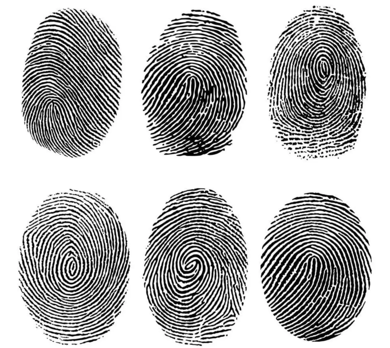 Digital Footprint Erasure: How to Delete Your Online Trail and Protect Your Online Reputation in 2025